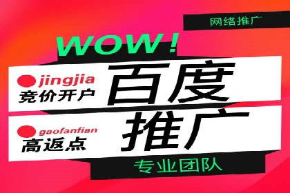 SEM运营推广策略：成功案例解析
